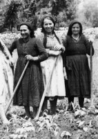 /album/%ce%ad%ce%ba%ce%b8%ce%b5%cf%83%ce%b7-%cf%86%cf%89%cf%84%ce%bf%ce%b3%cf%81%ce%b1%cf%86%ce%b9%cf%8e%ce%bd/%ce%bb%ce%b9%cf%84%cf%83%ce%b1-%ce%ba%ce%bf%ce%bd%cf%84%ce%bf%ce%b4%ce%b7%ce%bc%ce%bf%cf%85-%cf%80%ce%b1%cf%81%ce%b8%ce%b5%ce%bd%ce%b9%ce%b1-%ce%b2%ce%b1%cf%83%ce%b4%ce%bf%ce%ba%ce%b1-%ce%b2%ce%b1%cf%83%ce%b9%ce%bb%ce%b9%ce%ba%ce%b7-%cf%83/